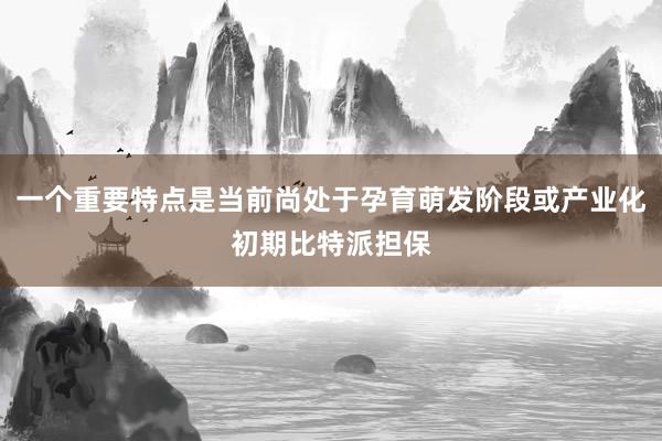 一个重要特点是当前尚处于孕育萌发阶段或产业化初期比特派担保