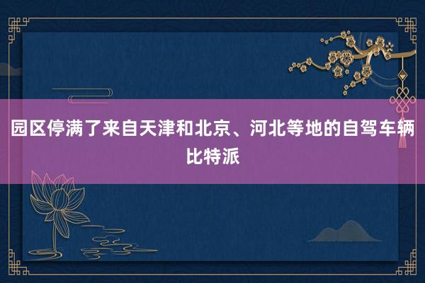 园区停满了来自天津和北京、河北等地的自驾车辆比特派