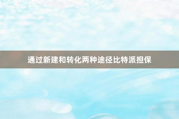 通过新建和转化两种途径比特派担保