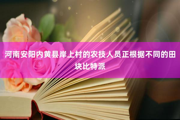 河南安阳内黄县岸上村的农技人员正根据不同的田块比特派