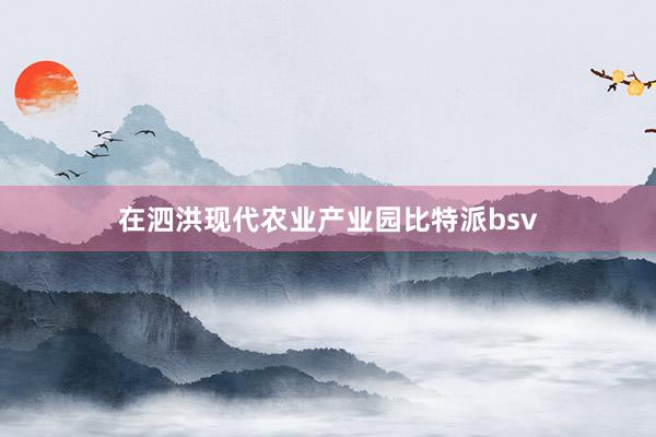 在泗洪现代农业产业园比特派bsv