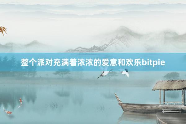 整个派对充满着浓浓的爱意和欢乐bitpie