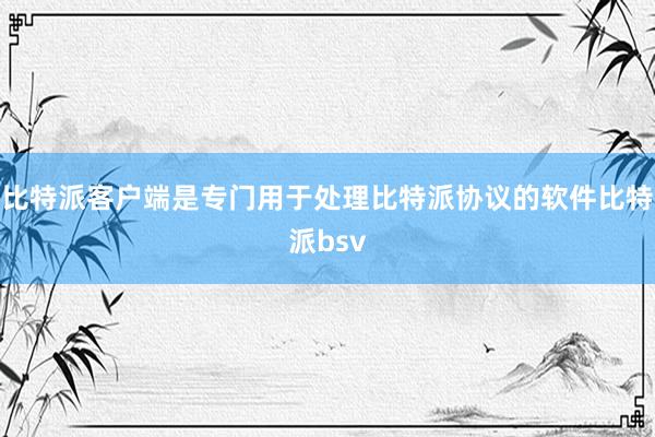 比特派客户端是专门用于处理比特派协议的软件比特派bsv