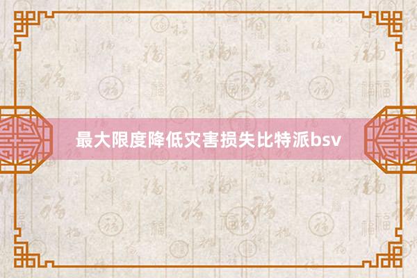 最大限度降低灾害损失比特派bsv