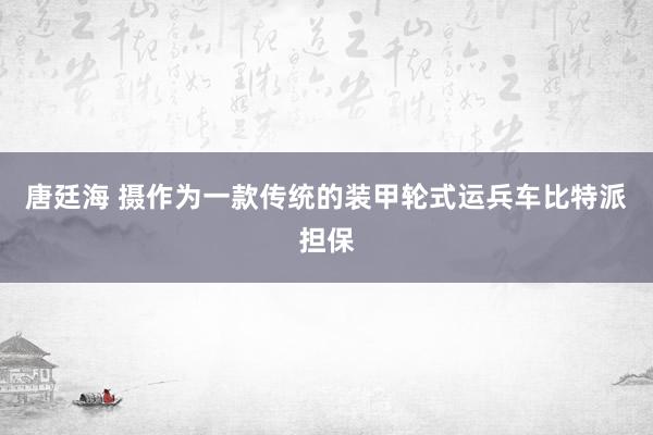 唐廷海 摄作为一款传统的装甲轮式运兵车比特派担保