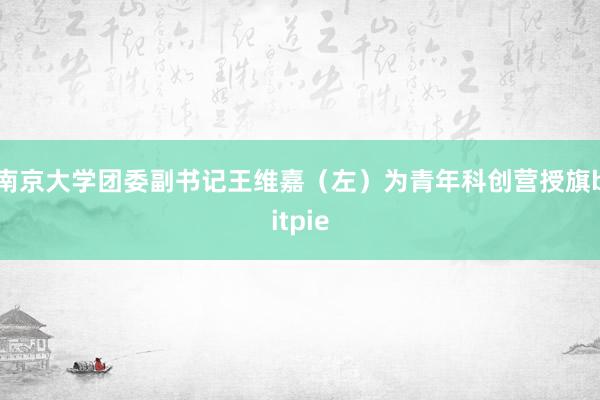 南京大学团委副书记王维嘉（左）为青年科创营授旗bitpie