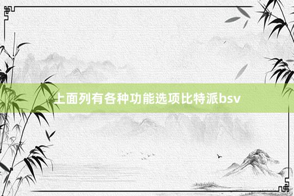 上面列有各种功能选项比特派bsv