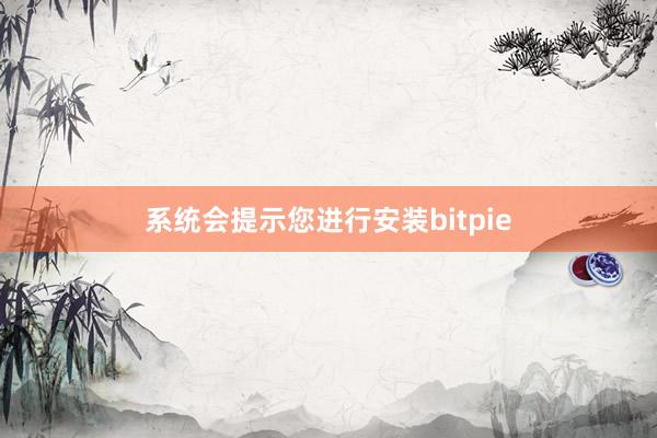 系统会提示您进行安装bitpie