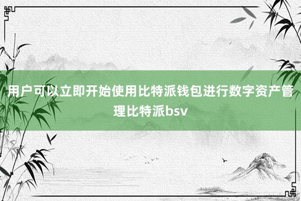 用户可以立即开始使用比特派钱包进行数字资产管理比特派bsv