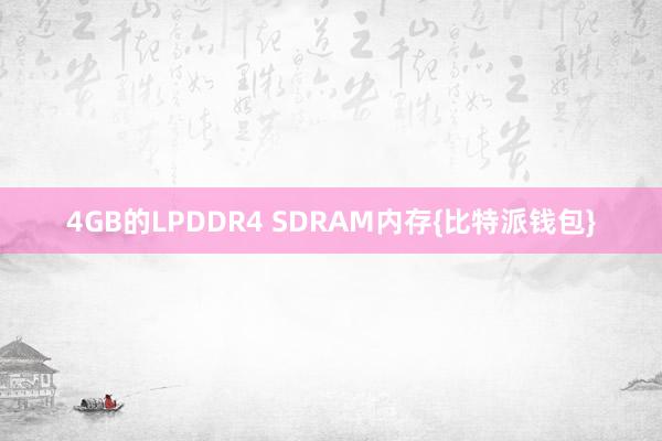 4GB的LPDDR4 SDRAM内存{比特派钱包}