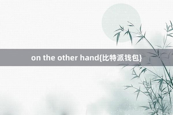 on the other hand{比特派钱包}