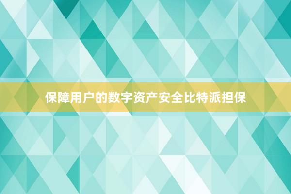 保障用户的数字资产安全比特派担保