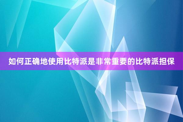 如何正确地使用比特派是非常重要的比特派担保