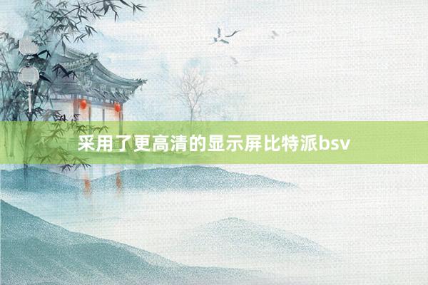 采用了更高清的显示屏比特派bsv