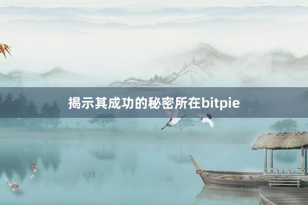 揭示其成功的秘密所在bitpie