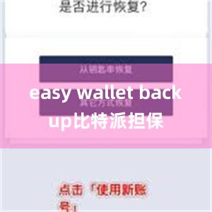 easy wallet backup比特派担保