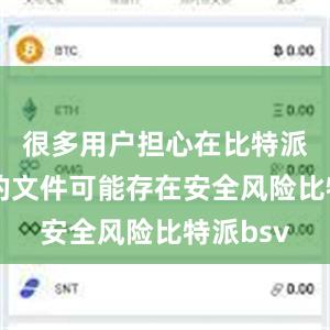 很多用户担心在比特派上下载的文件可能存在安全风险比特派bsv