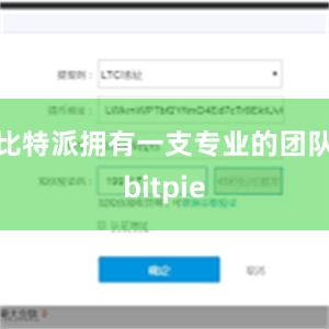 比特派拥有一支专业的团队bitpie