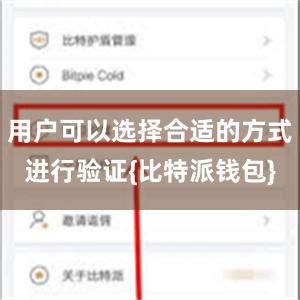 用户可以选择合适的方式进行验证{比特派钱包}