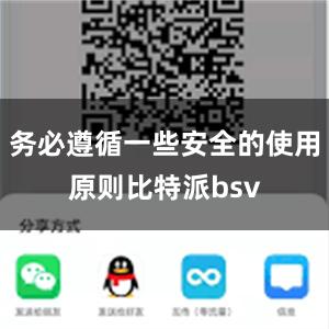 务必遵循一些安全的使用原则比特派bsv