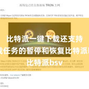 比特派一键下载还支持下载任务的暂停和恢复比特派bsv