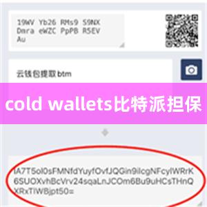 cold wallets比特派担保