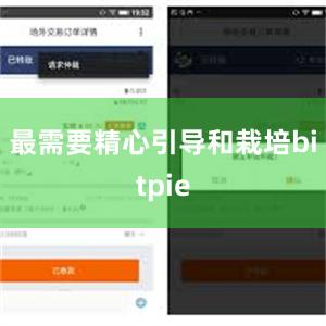 最需要精心引导和栽培bitpie