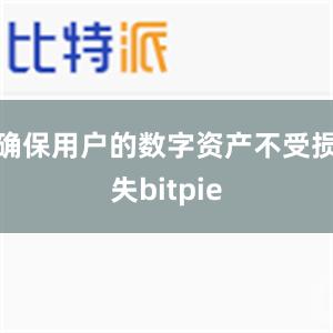 确保用户的数字资产不受损失bitpie