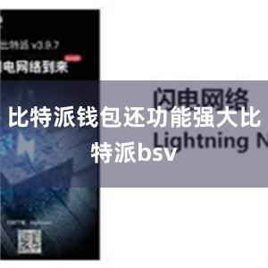 比特派钱包还功能强大比特派bsv