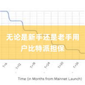 无论是新手还是老手用户比特派担保