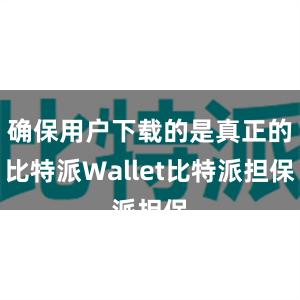 确保用户下载的是真正的比特派Wallet比特派担保