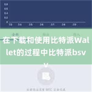 在下载和使用比特派Wallet的过程中比特派bsv