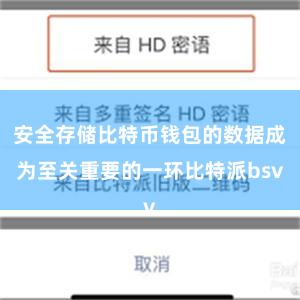 安全存储比特币钱包的数据成为至关重要的一环比特派bsv